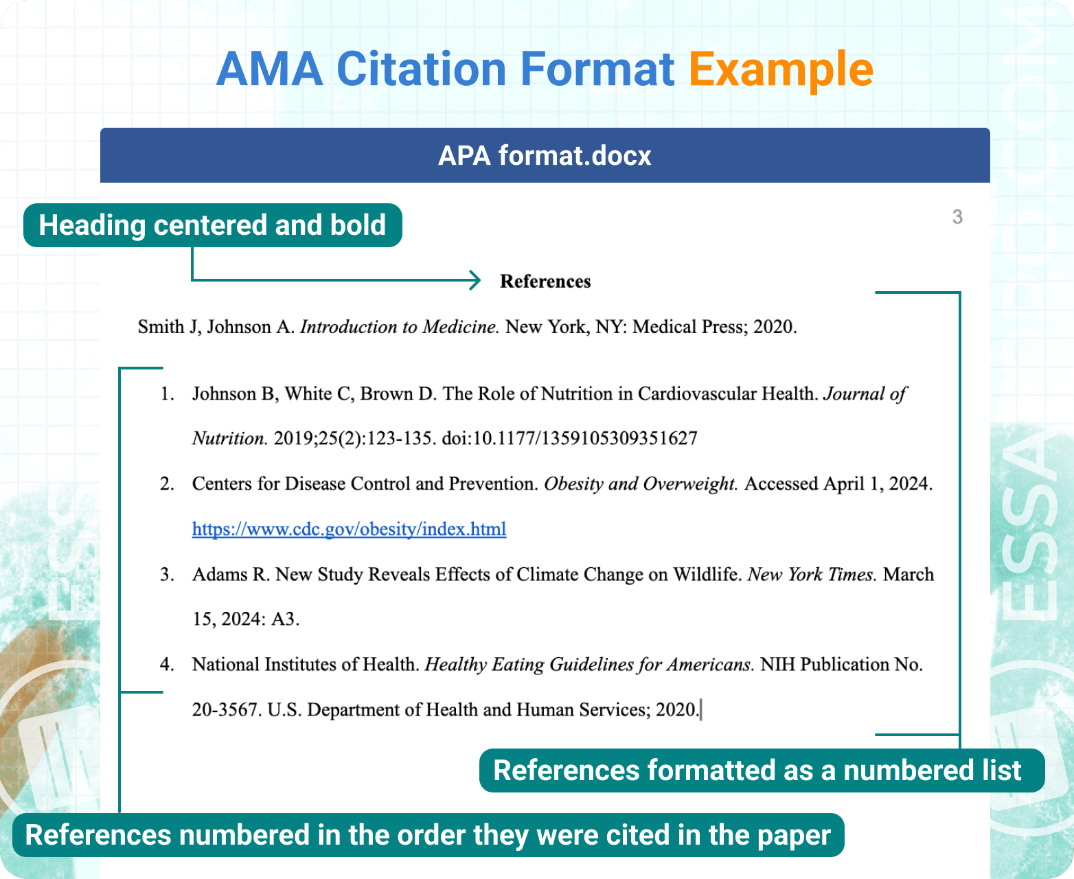 ama format example